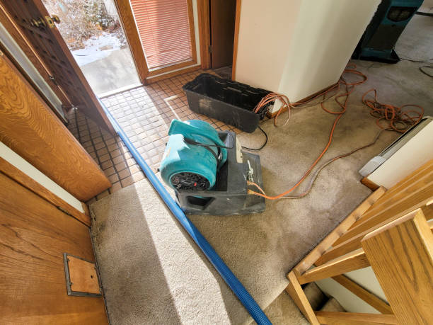 Best 24-hour water damage restoration  in Asotin, WA
