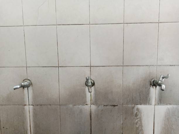 Best Basement water damage restoration  in Asotin, WA