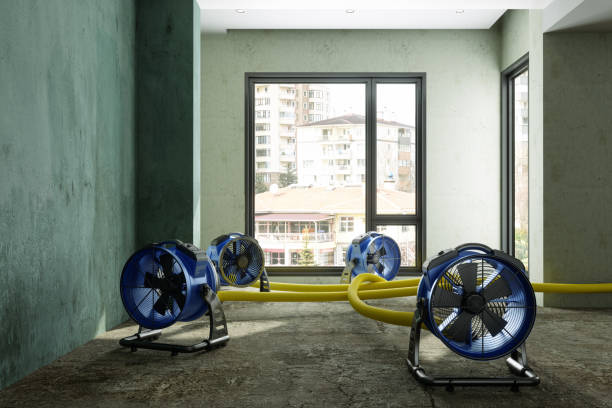 Best Professional water damage repair  in Asotin, WA